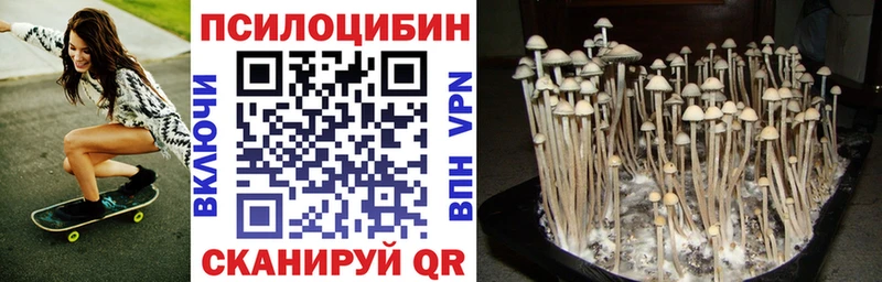 Псилоцибиновые грибы Magic Shrooms Купино